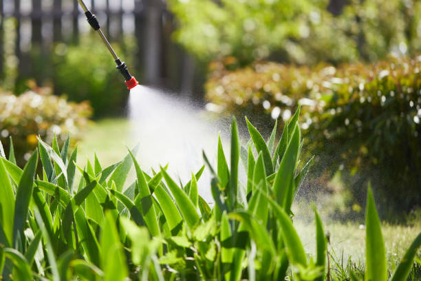 Tamper-Resistant Bait Stations for Rodents in Freemansburg