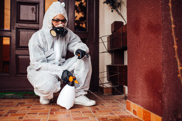 Attic and Crawl Space Rodent Treatment in Freemansburg