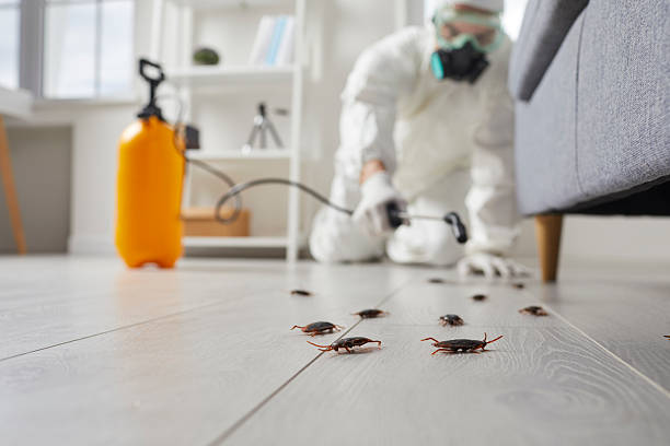 Commercial Rodent Management in Freemansburg